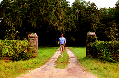 Gif image of Forrest Gump running
