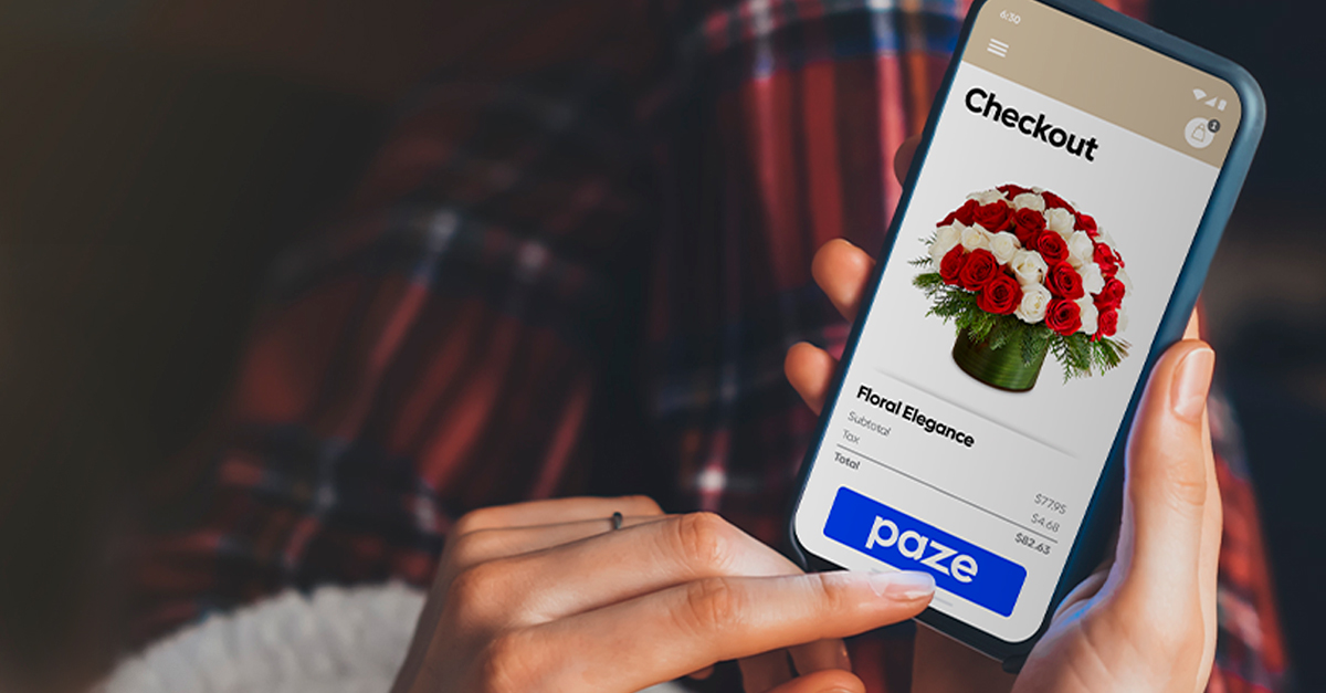 Chase to Exclude Newegg from Earning 10x Points with Paze