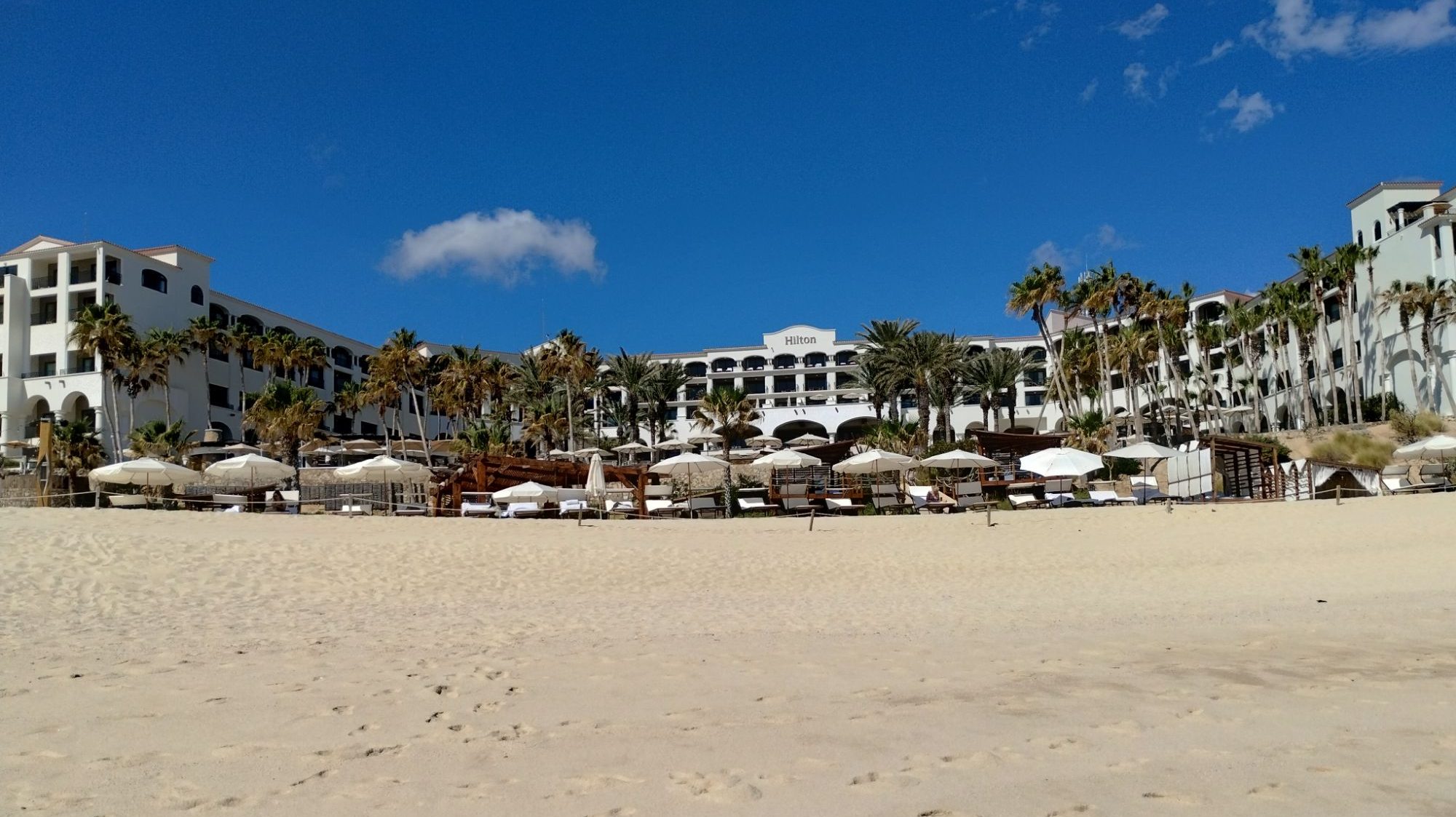 Buy Hilton Points, Get 125% Bonus Today Only