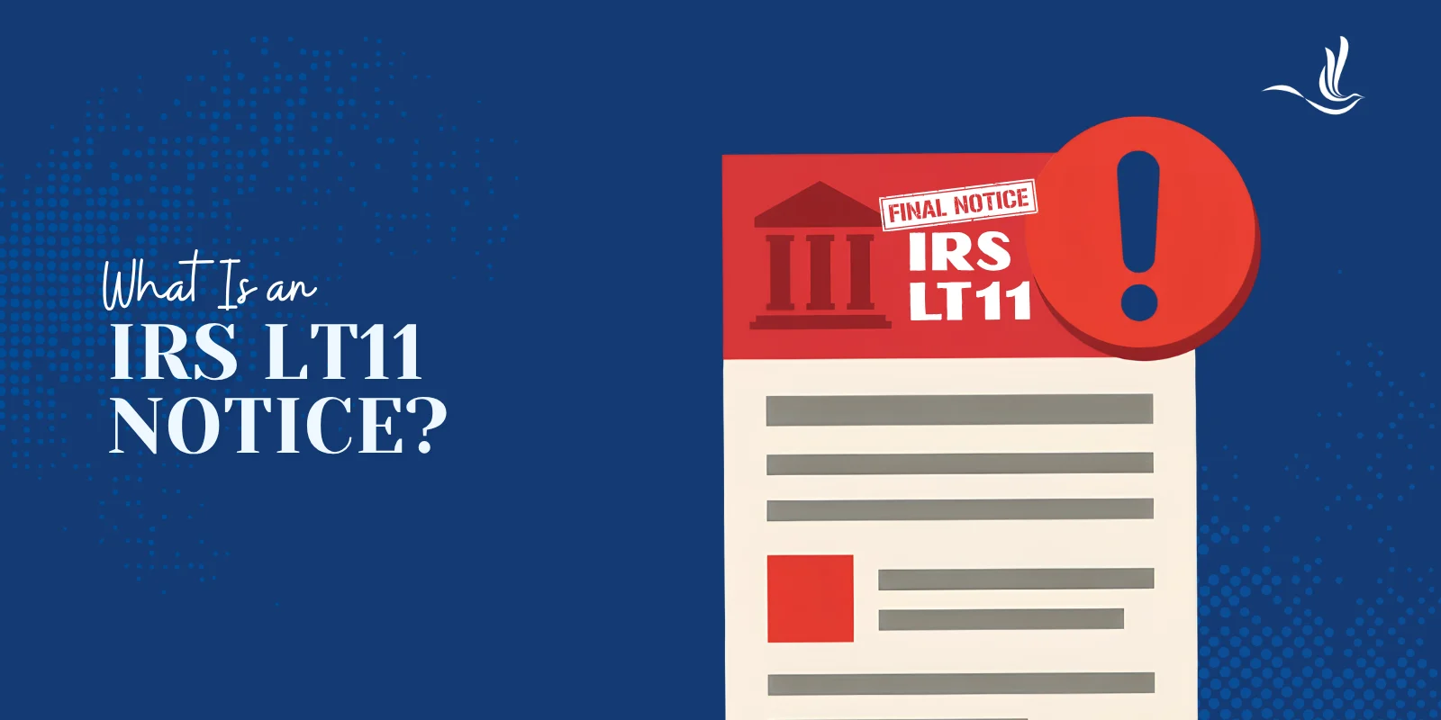 What Is an IRS LT11 Notice? 